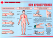 ПВ05 Первая помощь при чрезвычайных ситуациях (самокл.пленка, А3, 9 листов) - Плакаты - Медицинская помощь - ohrana.inoy.org